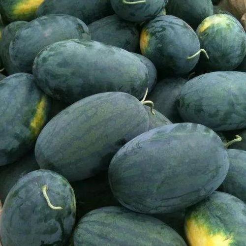 谁有吃瓜黑料群